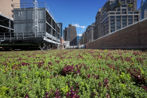 The New York State tax credit for green roofs has increased by more than 16% per square foot, and the maximum amount has doubled.