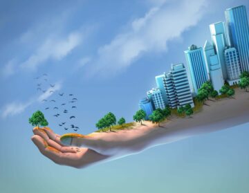 Creating safe urban spaces for migrating birds.
