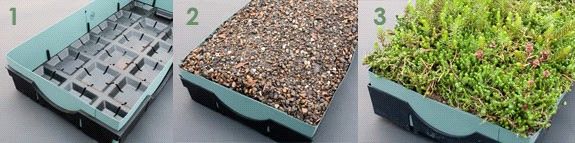 green roof trays
