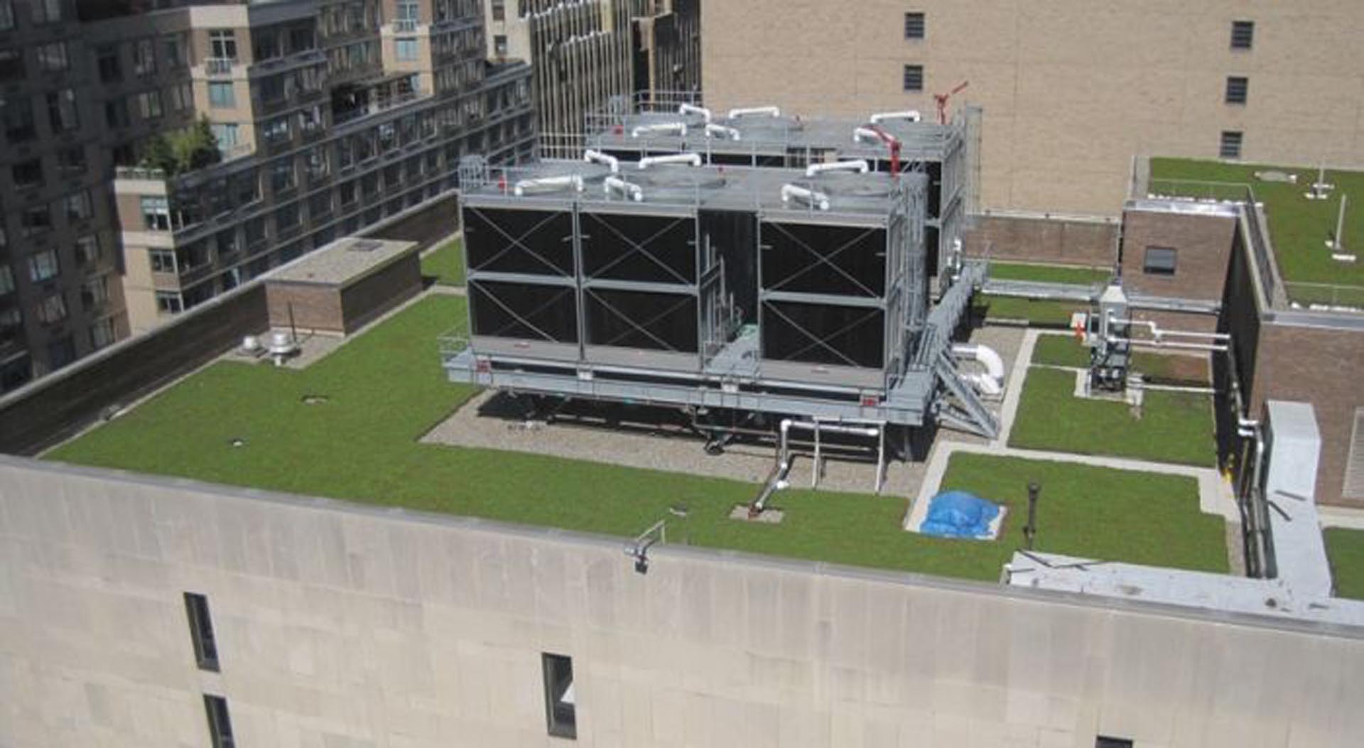 <p>View of FIT’s green roof from a neighboring building.</p>