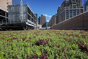 <p>Soil and vegetation layers add insulation to the roof and protect the roofing membrane from ultraviolet radiation. They also absorb rain, reducing storm water runoff.</p>