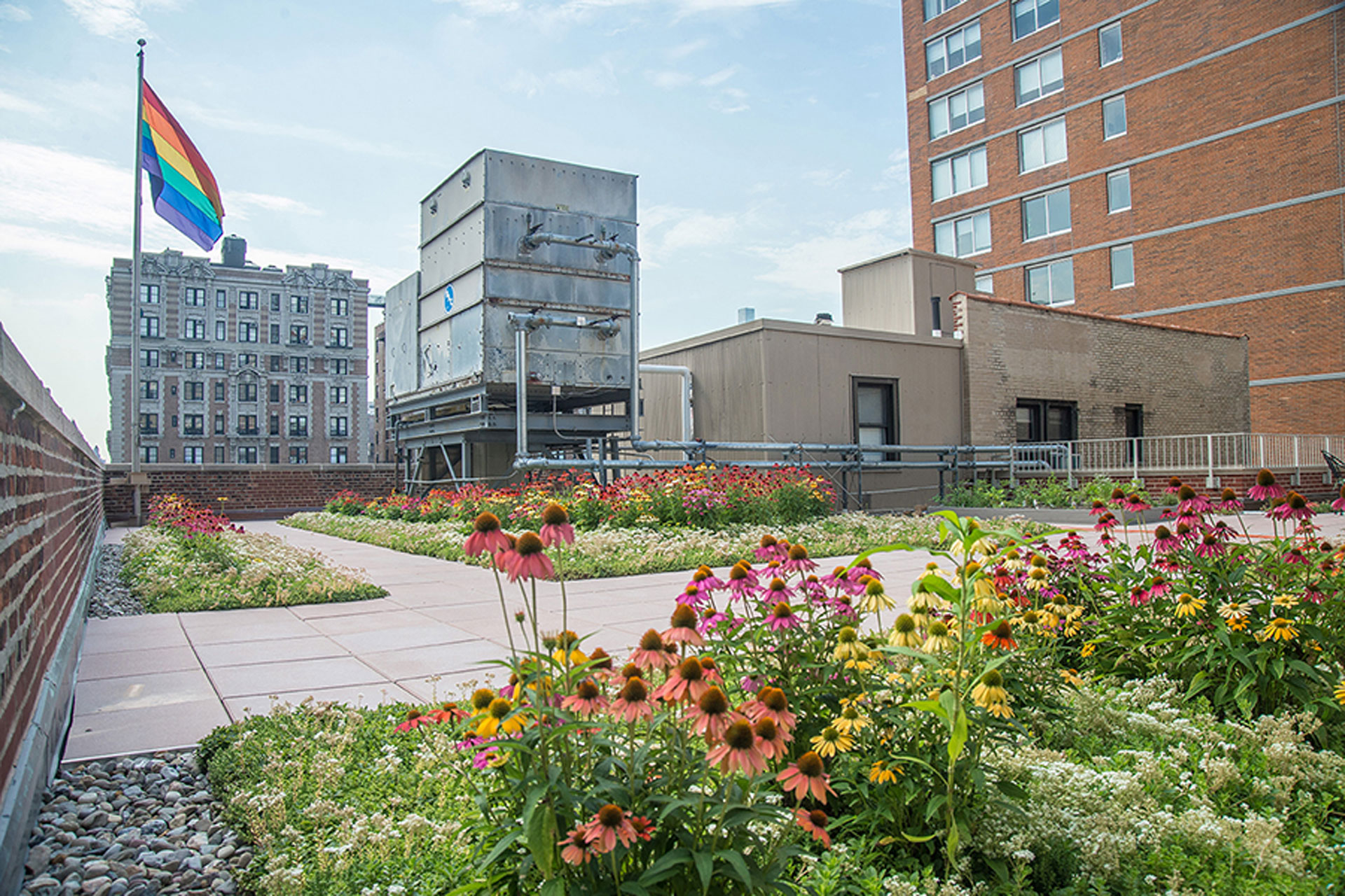 <p>Rutgers Presbyterian Church’s new green roof.</p>
