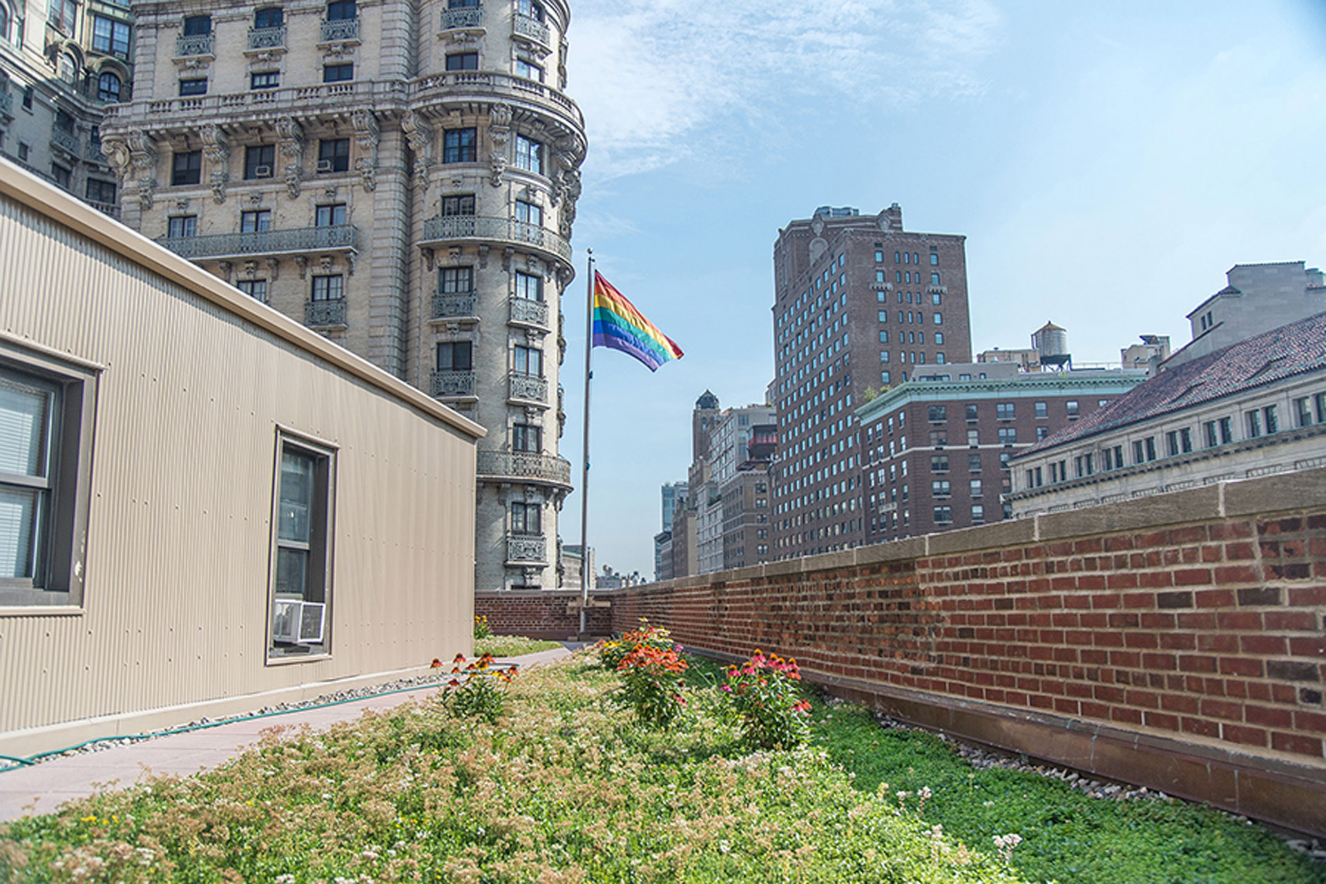 <p>Rutgers Presbyterian Church’s new green roof is planted with a sedum mix, coneflowers, and switch grass.</p>
