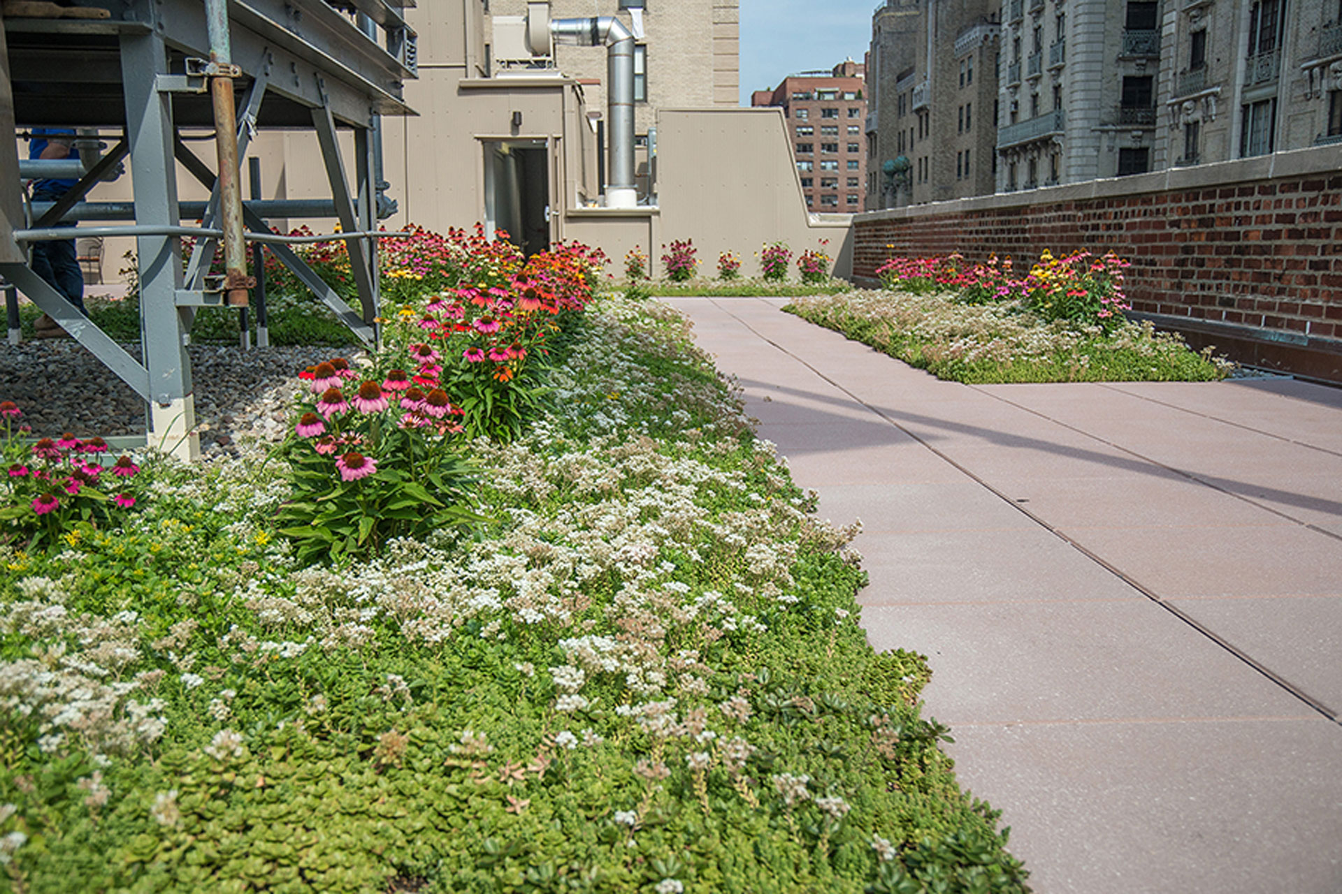 <p>The garden consists of 312 pre-vegetated modular trays.</p>
