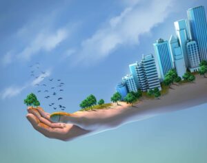 Creating Safer Urban Spaces for Migrating Birds