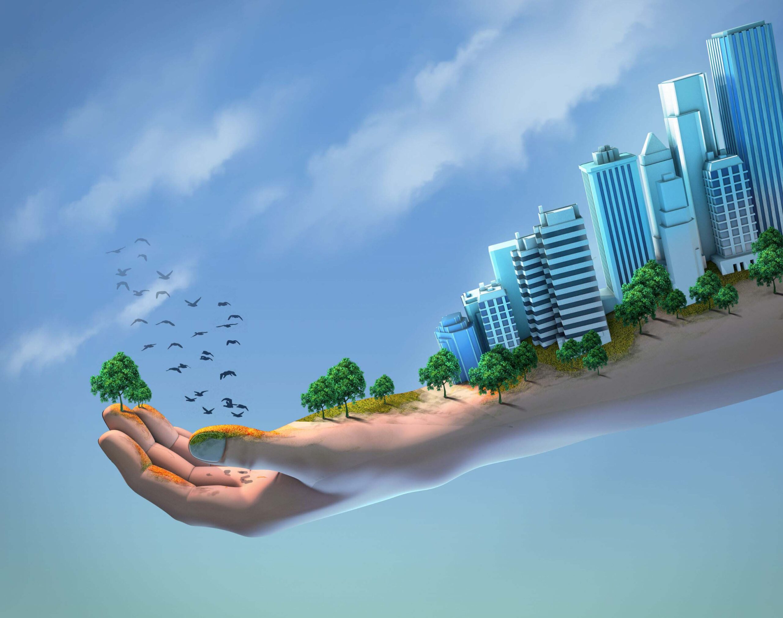 Creating safe urban spaces for migrating birds.