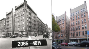 Looking Sweet in Sugar Hill