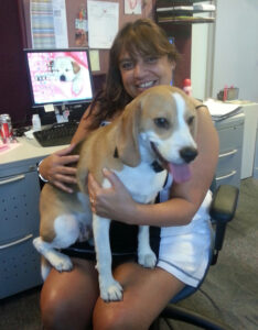 RAND’s Dog Days of Summer