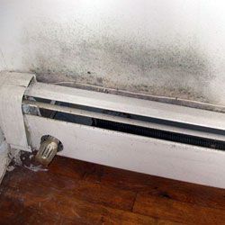 A moldy baseboard