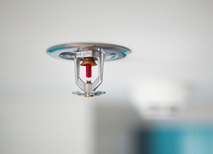 Fire Sprinkler